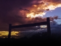 fenceline near Magdalena 061800